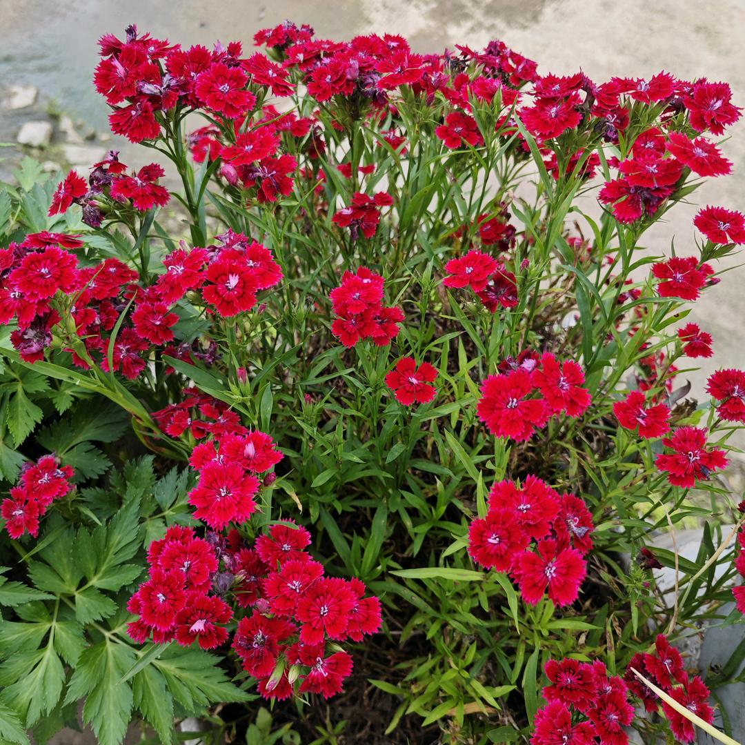 开心过好每一天