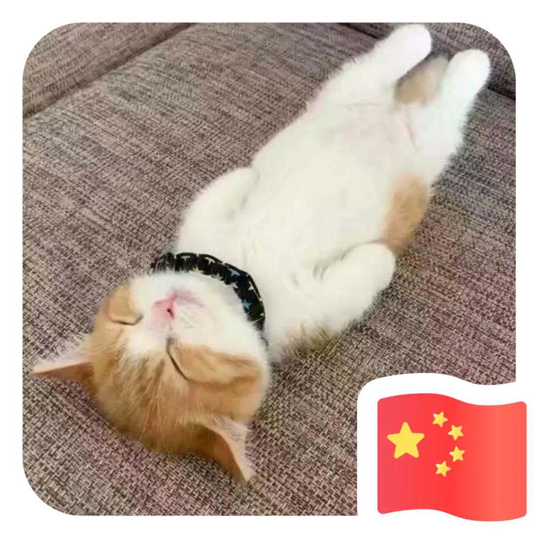 用户7501294231393