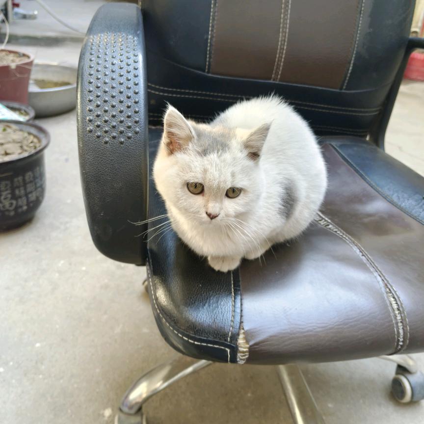 🌈✨人生✨🌈