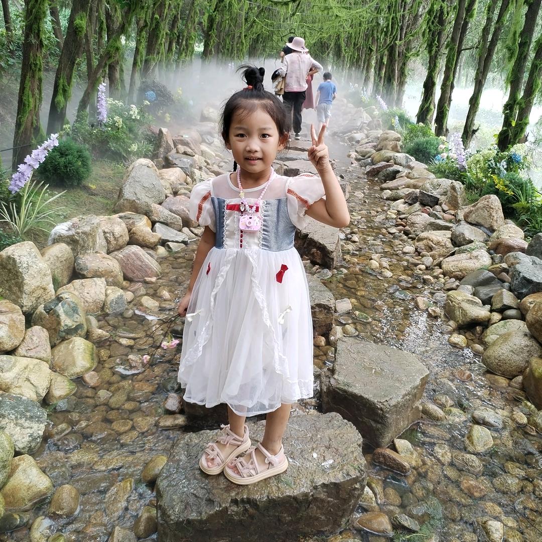 如果有风