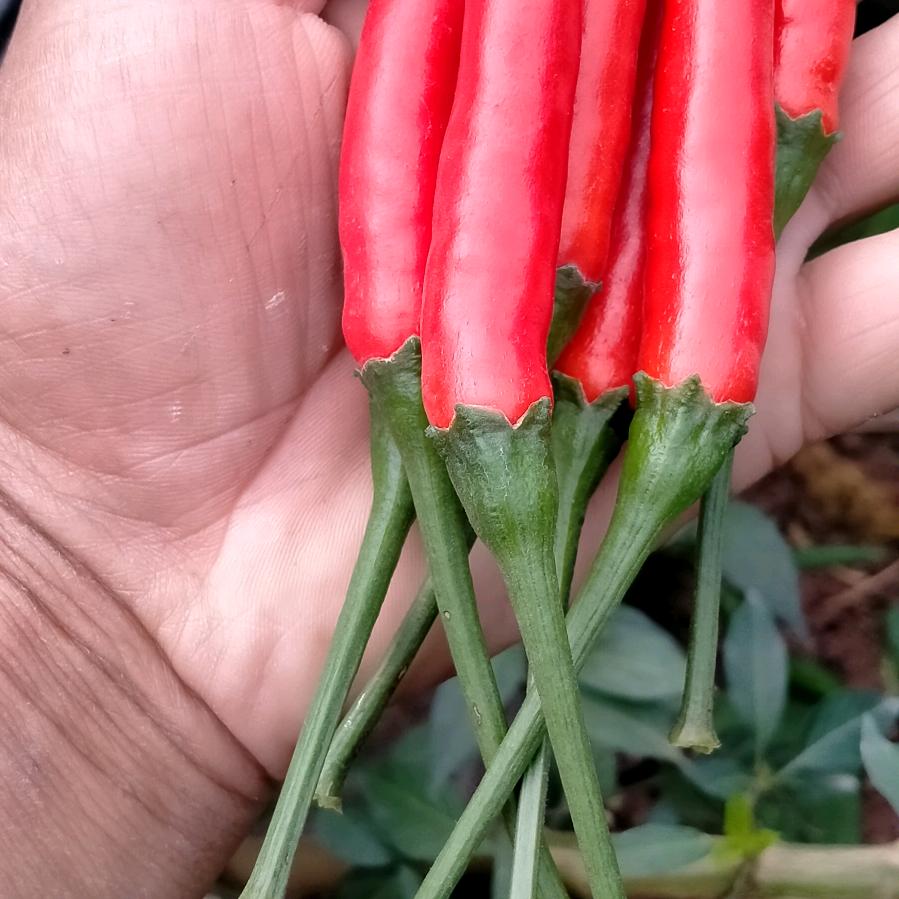 一🌴笑🍀而🍂过🍁