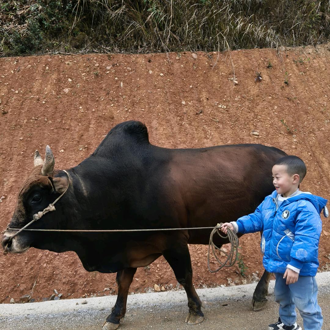 路人