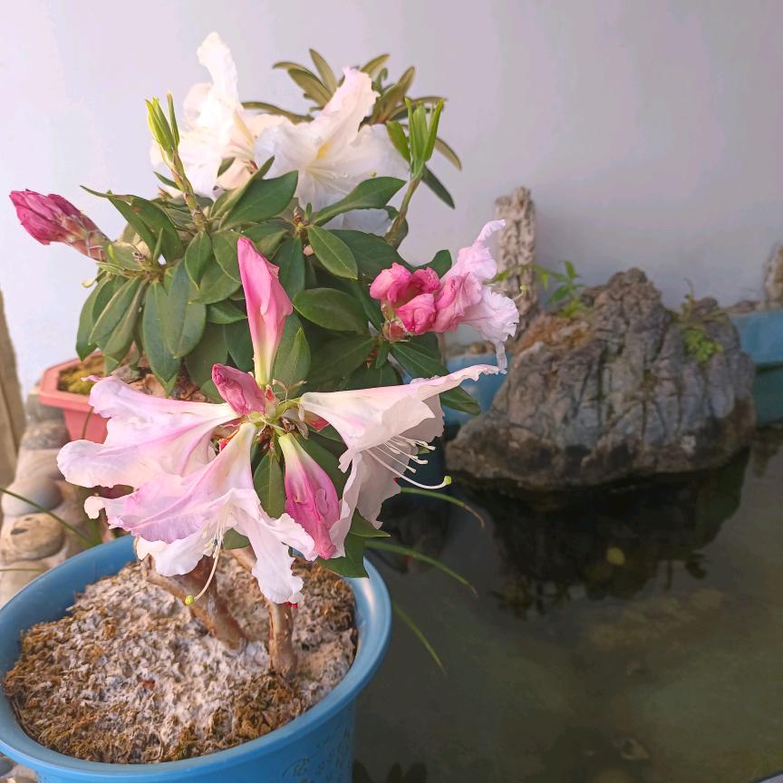 忘不掉的过去。