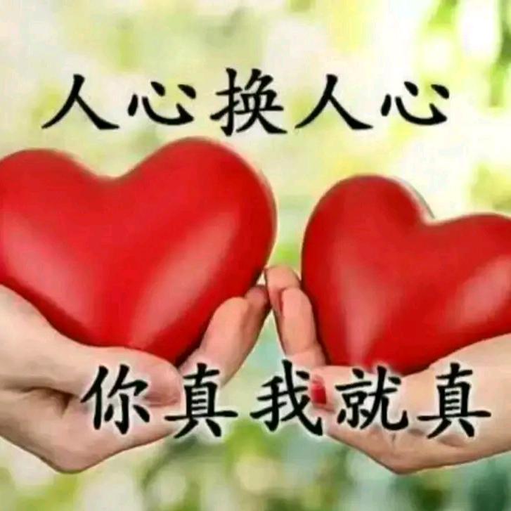 《月🌙》《吴》路遥知马力，日久见人心