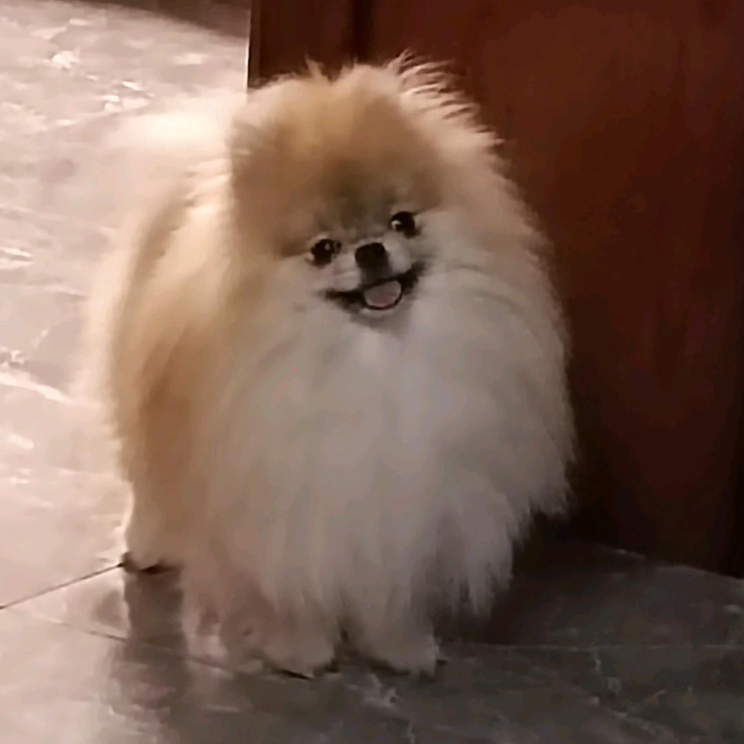 北冥有鱼