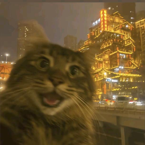 别逗你芭乐了头像