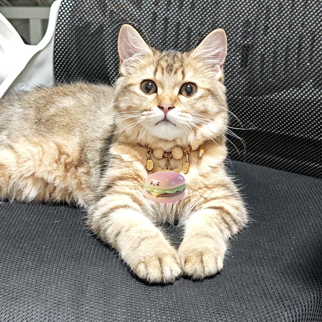 不复