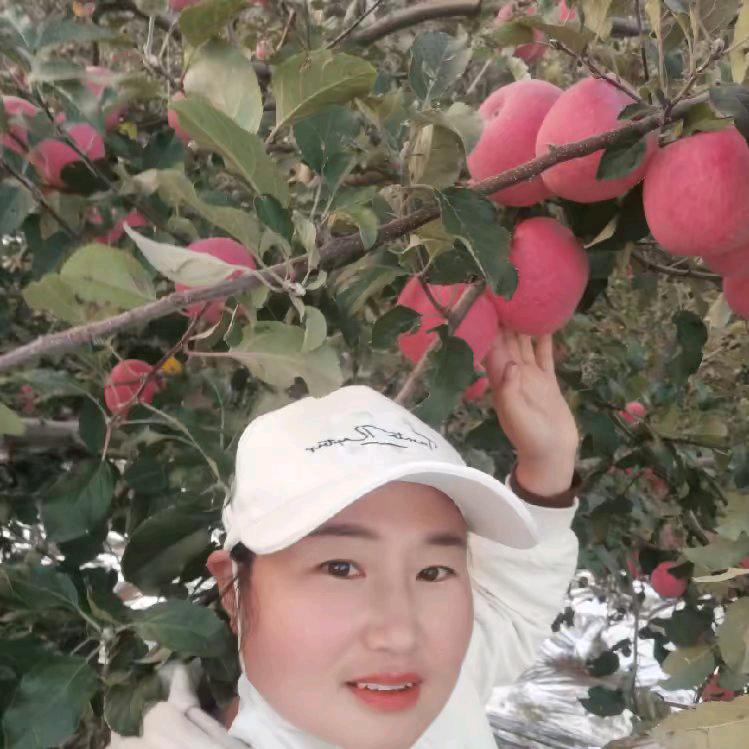静宁双岘苹果妹