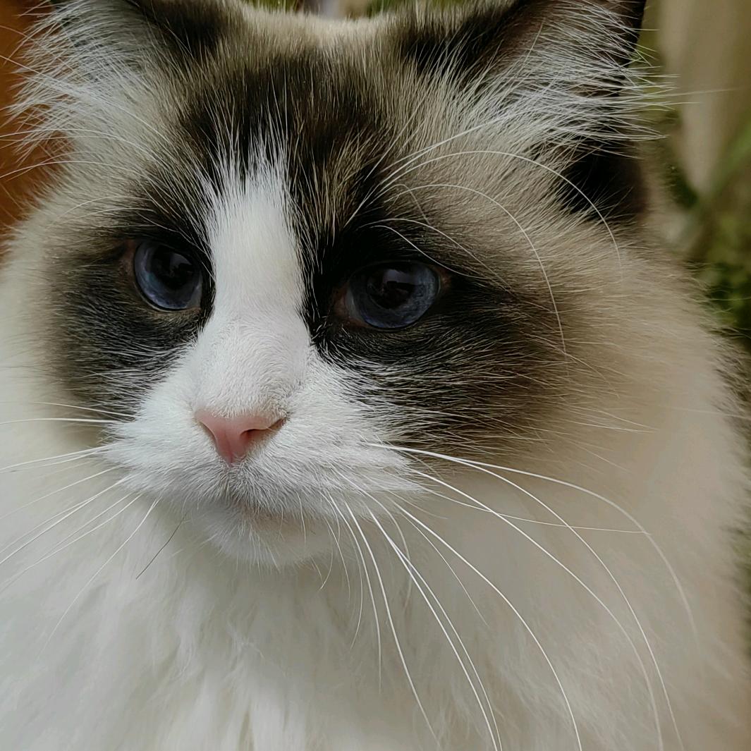 🔥💞彩霞🌈✨