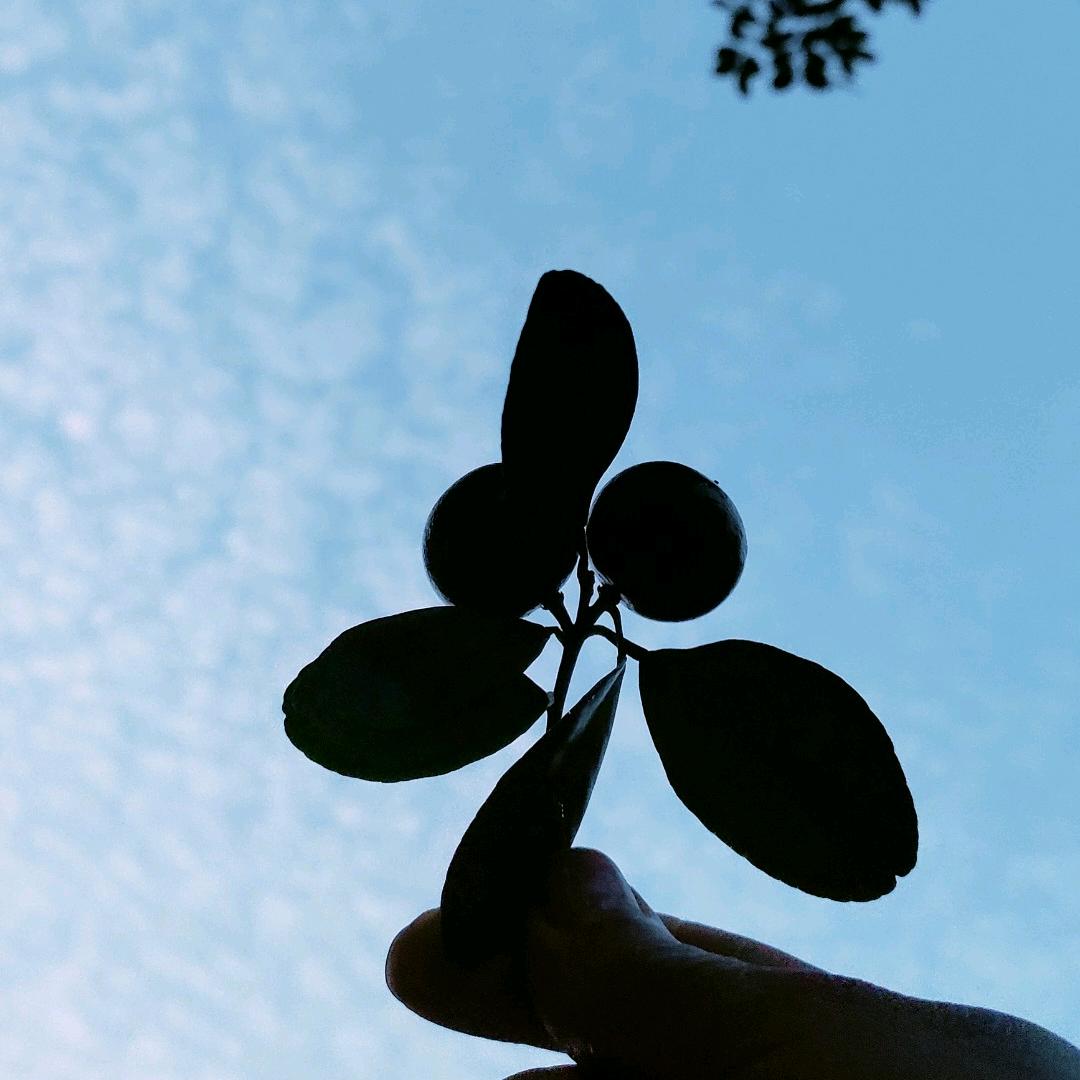 沉默是金。