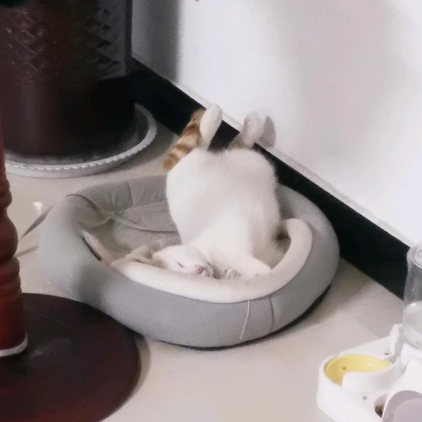 王欣妍