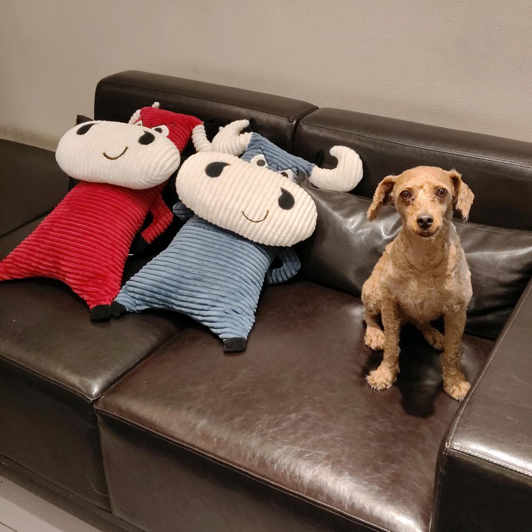 秋天落叶🤡🤡