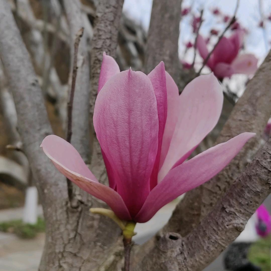 向暖而行