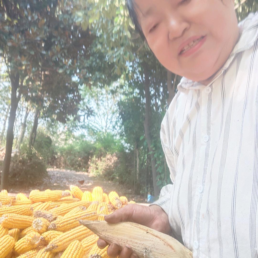 想想奶奶晚上19.30开播