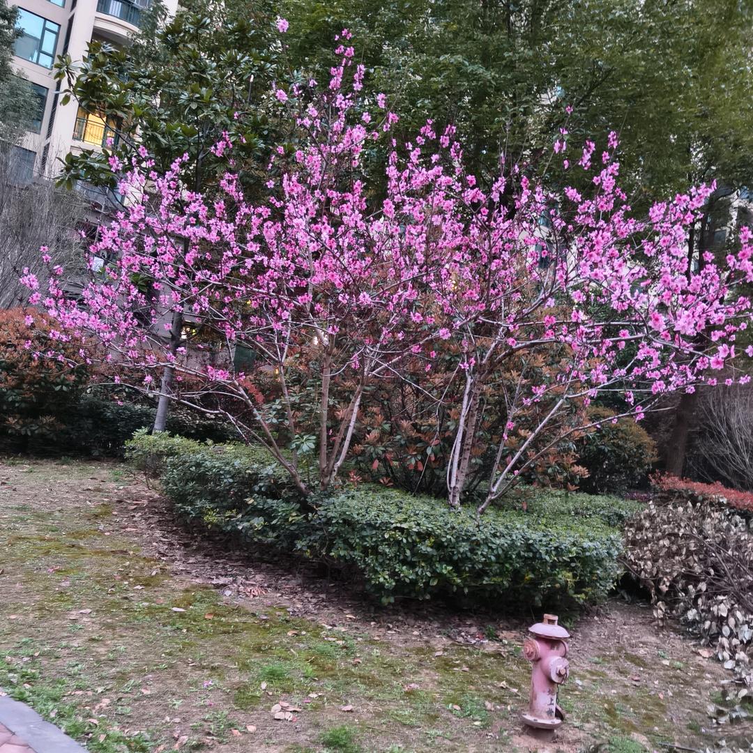 僡均姐