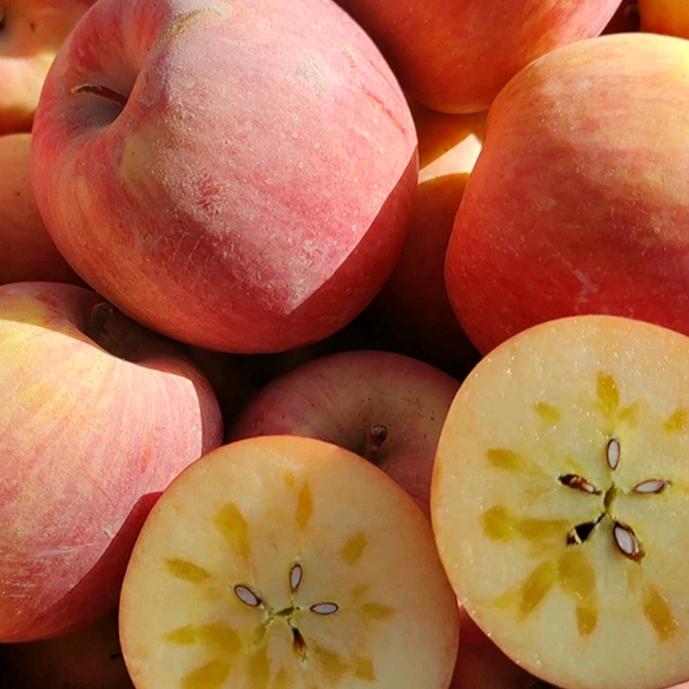 新疆阿克苏冰糖心源头直发