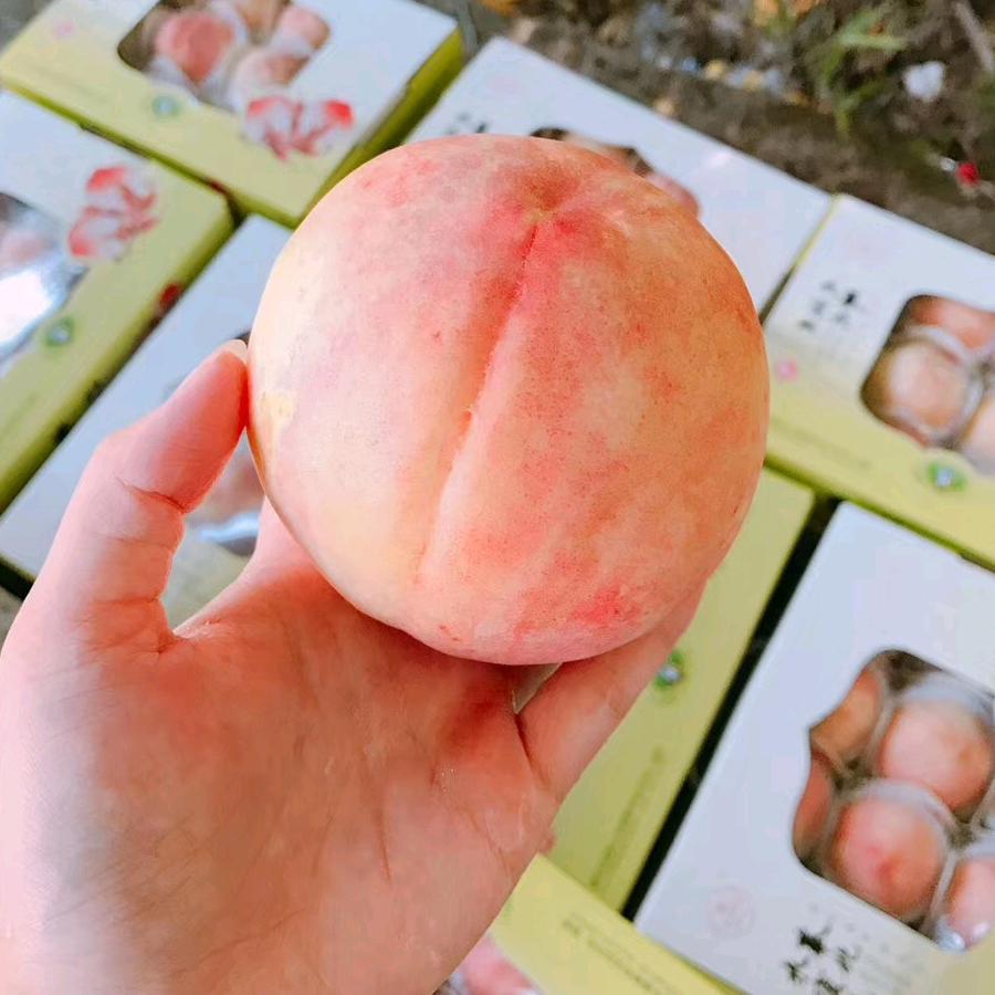 吃个桃子（奉化水蜜桃）