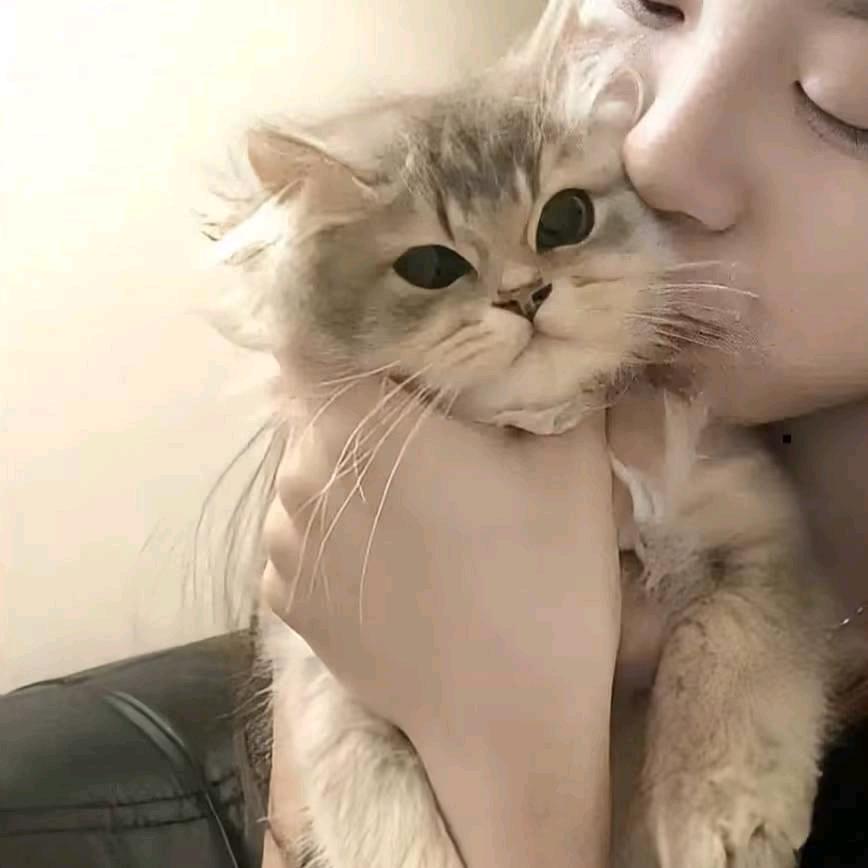 冰水泥的船