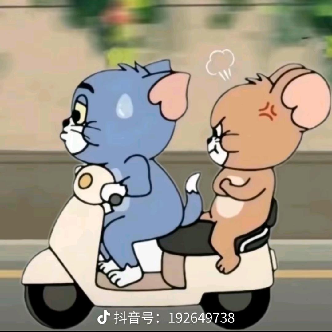 随风而行