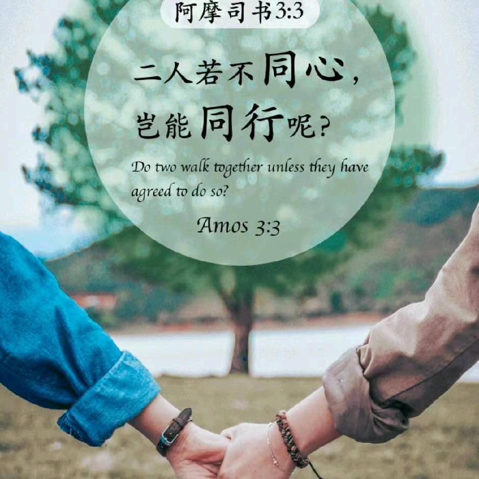 绵绵细雨，现在已不再是我