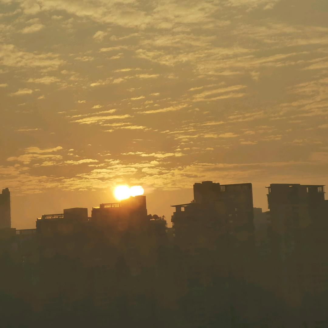 人间清醒🐲