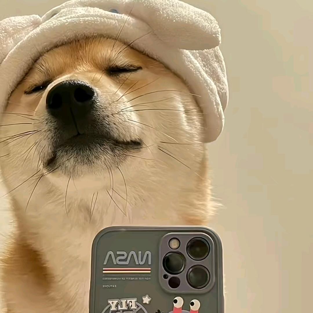 加合四季精选生鲜