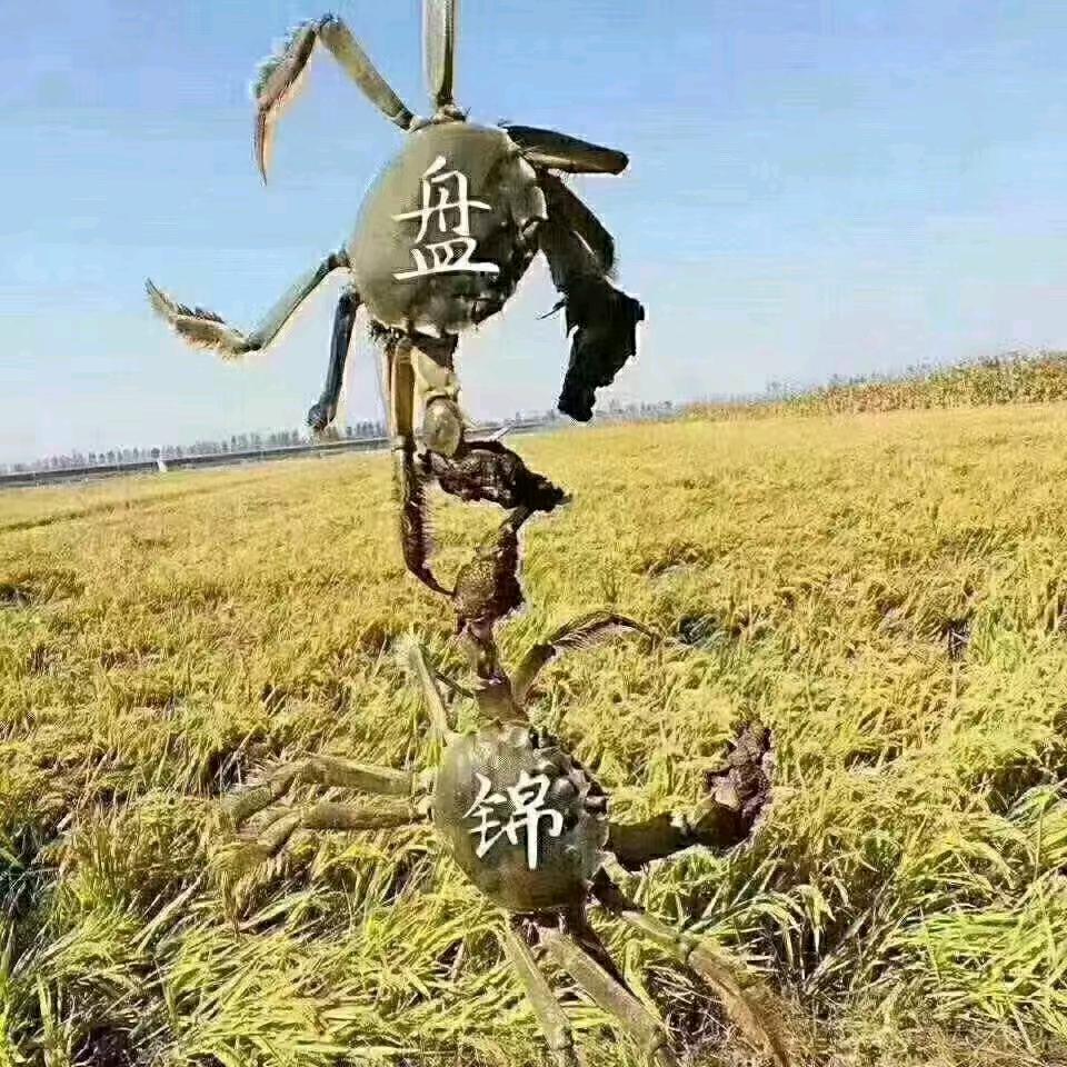 邹立国食材超市