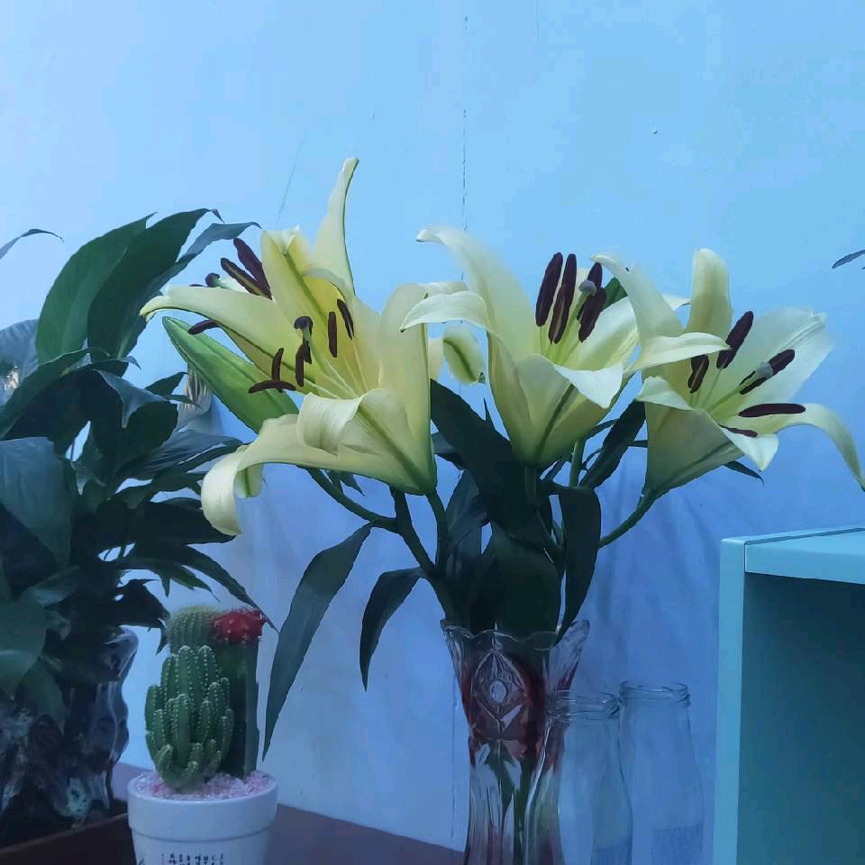 一切安好！