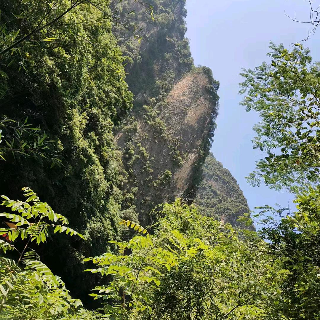 “༺༃小刚༃༻”