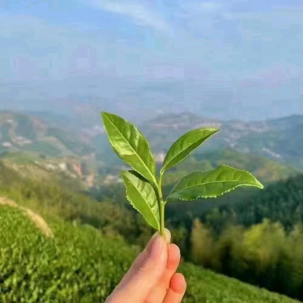 陶购优选服饰