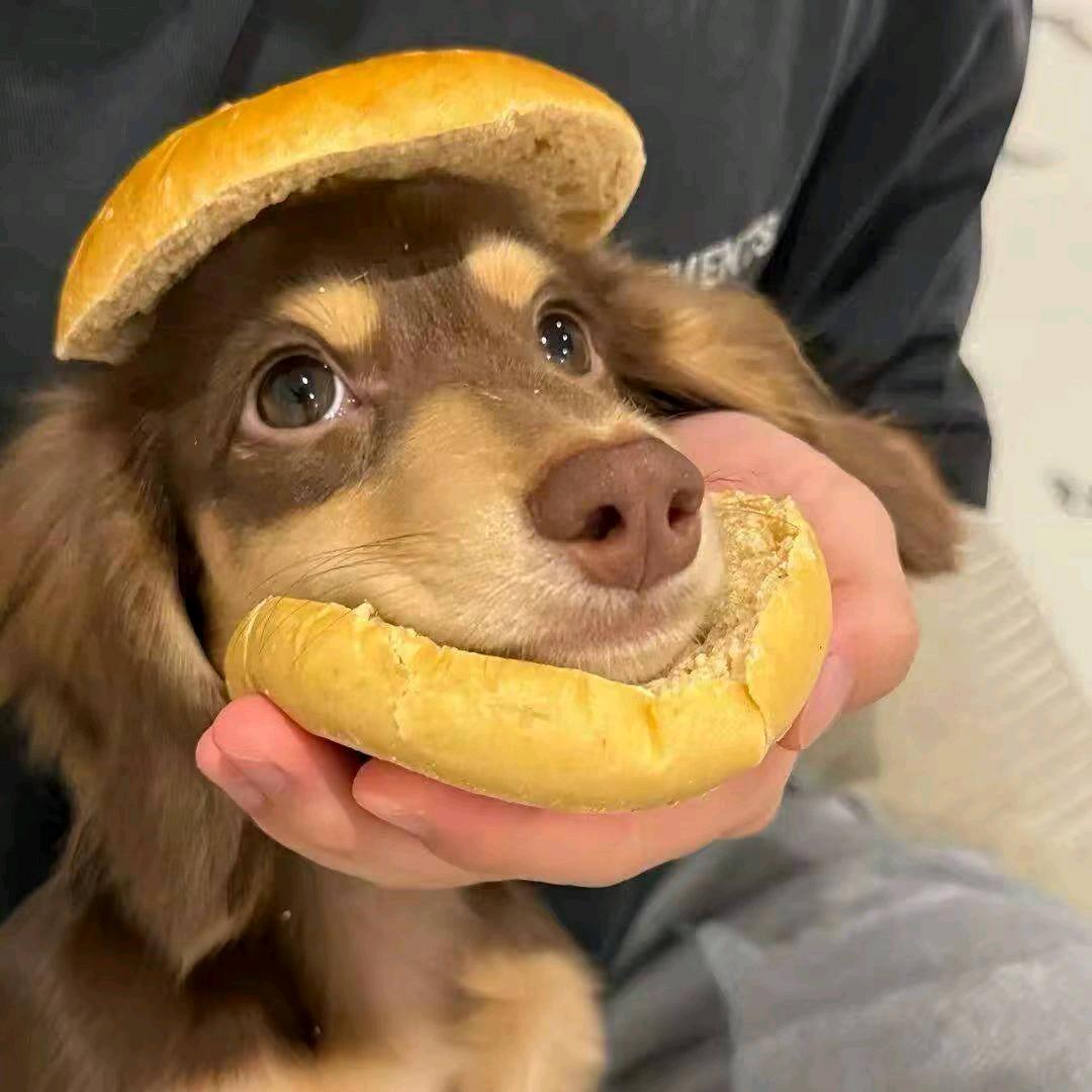 吃拼好饭中毒