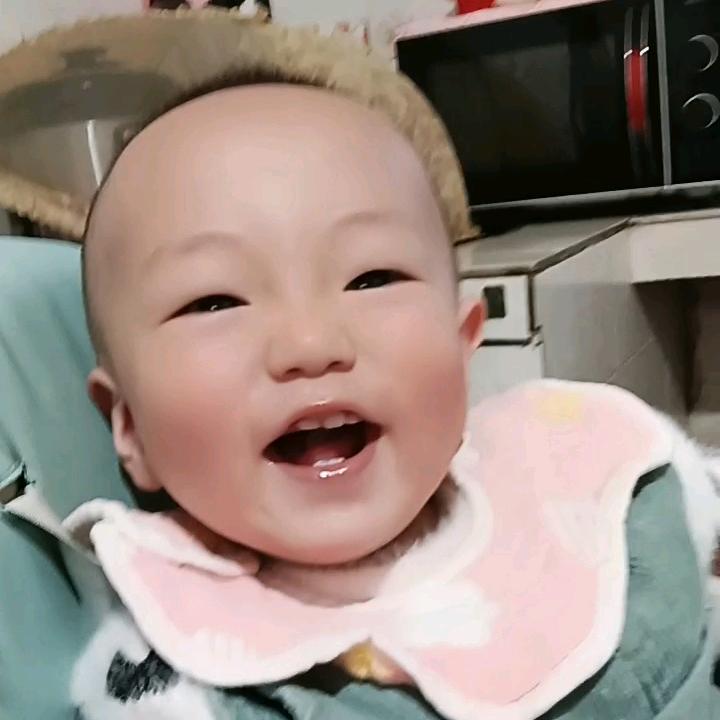 长期收土狗🐶