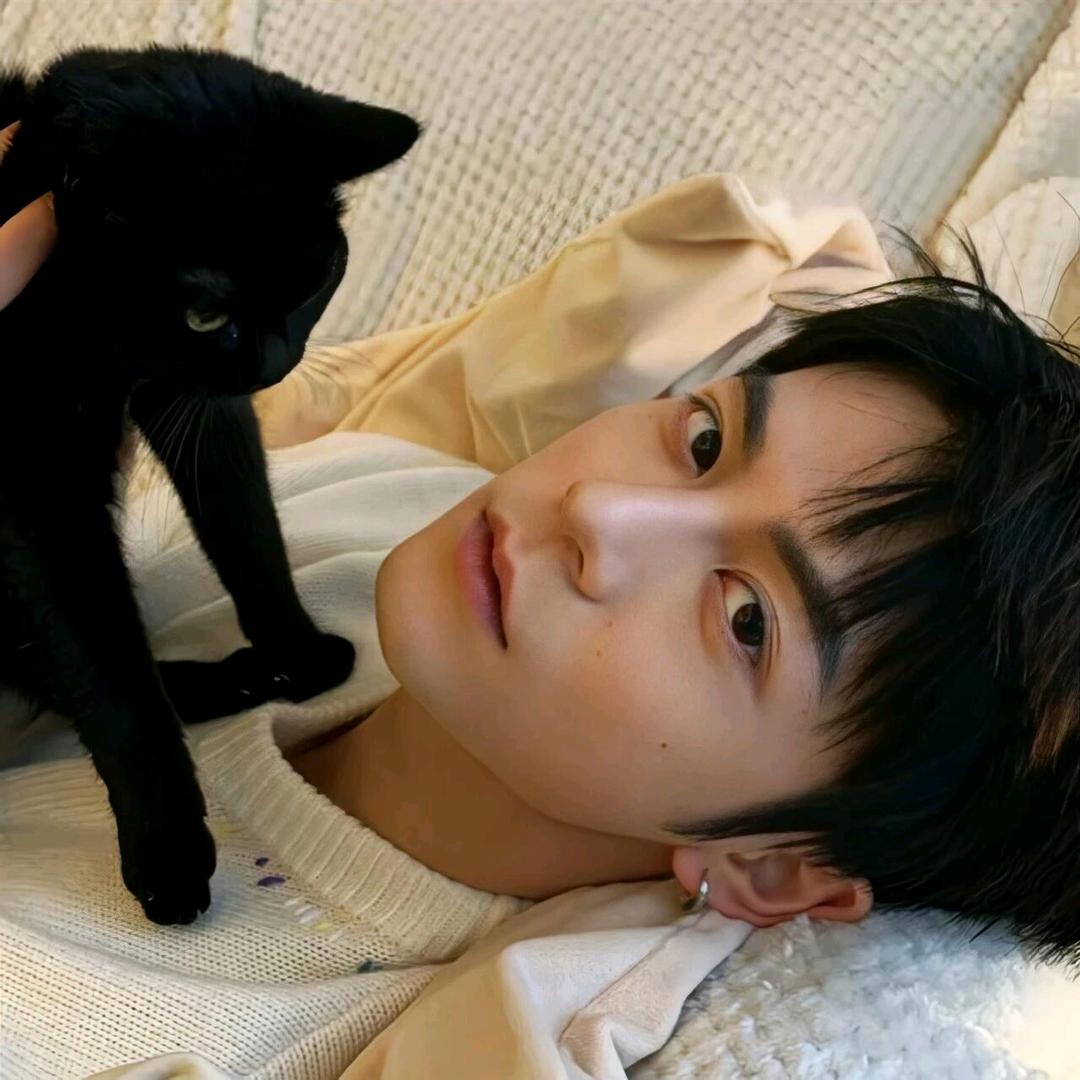 遇劫的阿狸.（别烦我版）