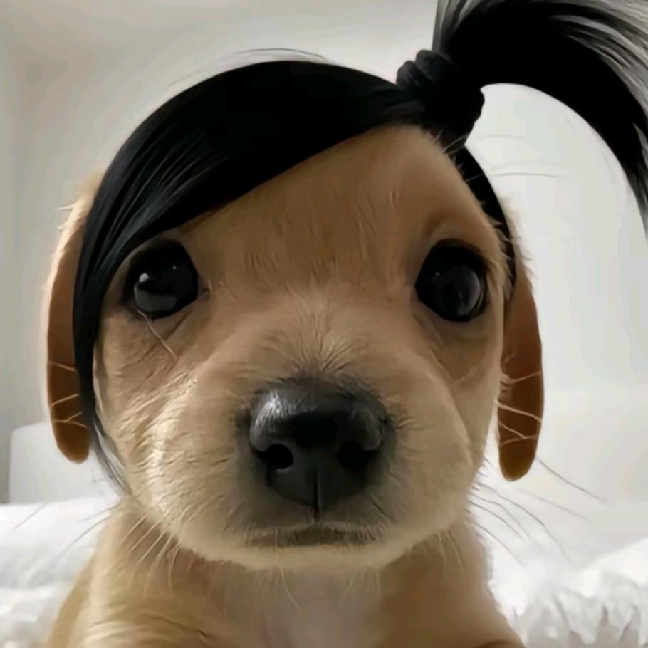 光