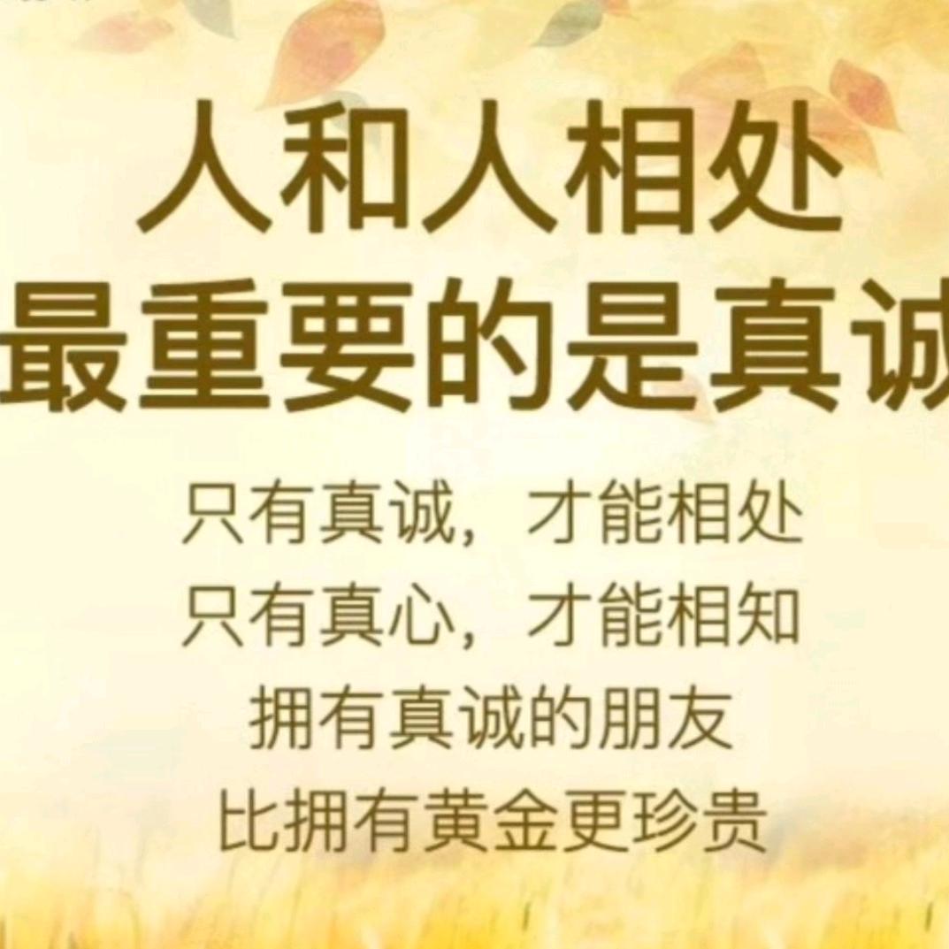 用户〈真善美〉