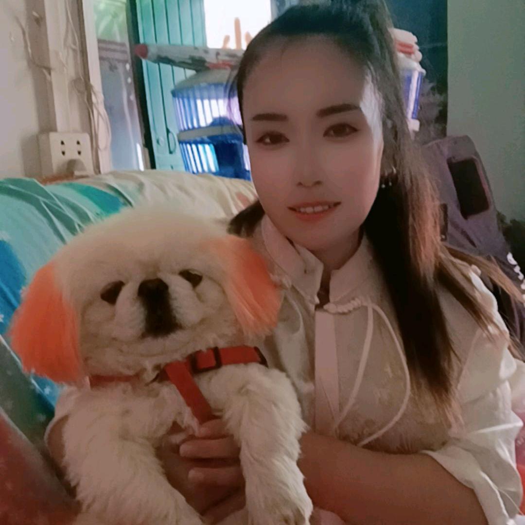 《冰儿》大王干店洛阳小李乐队