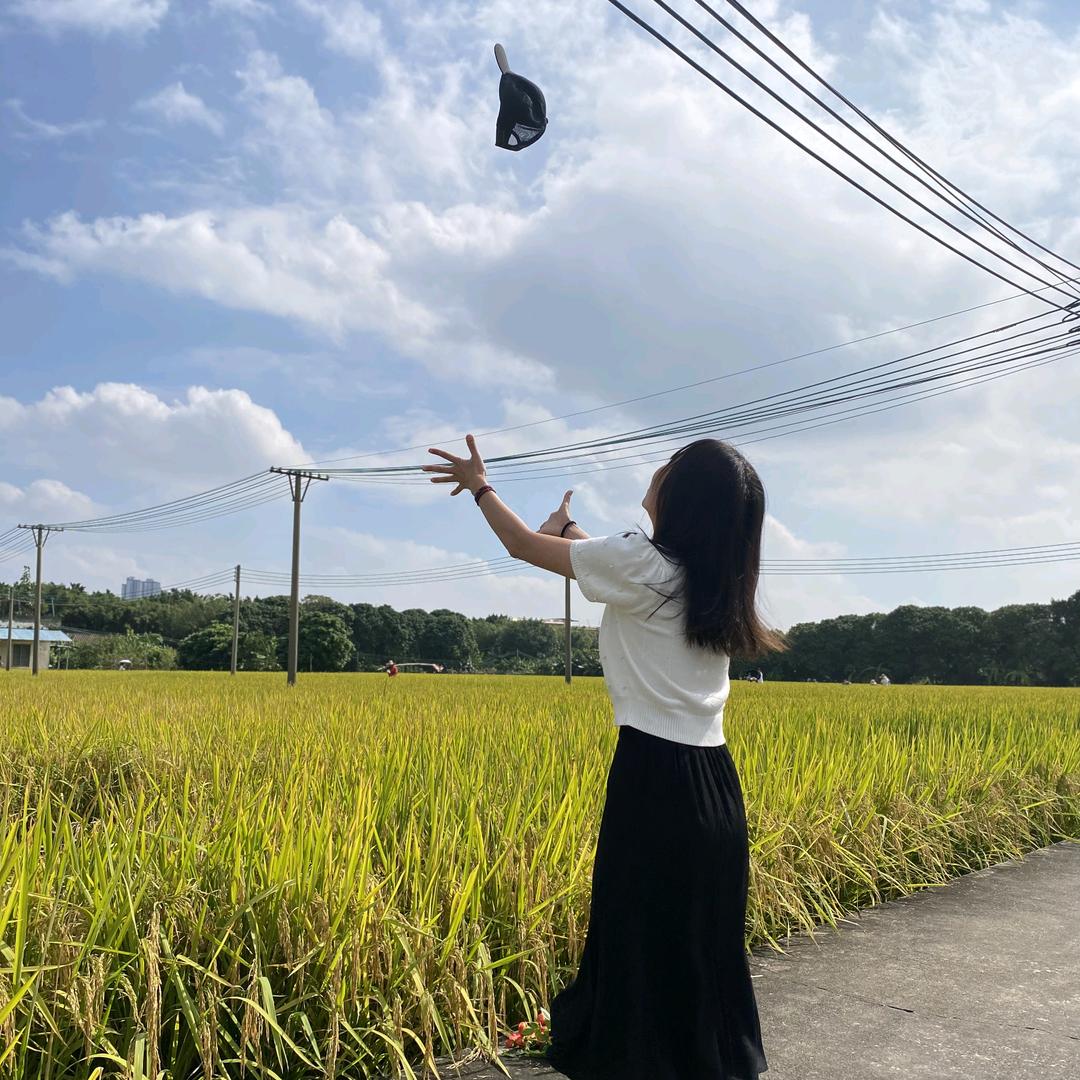 天天开心果