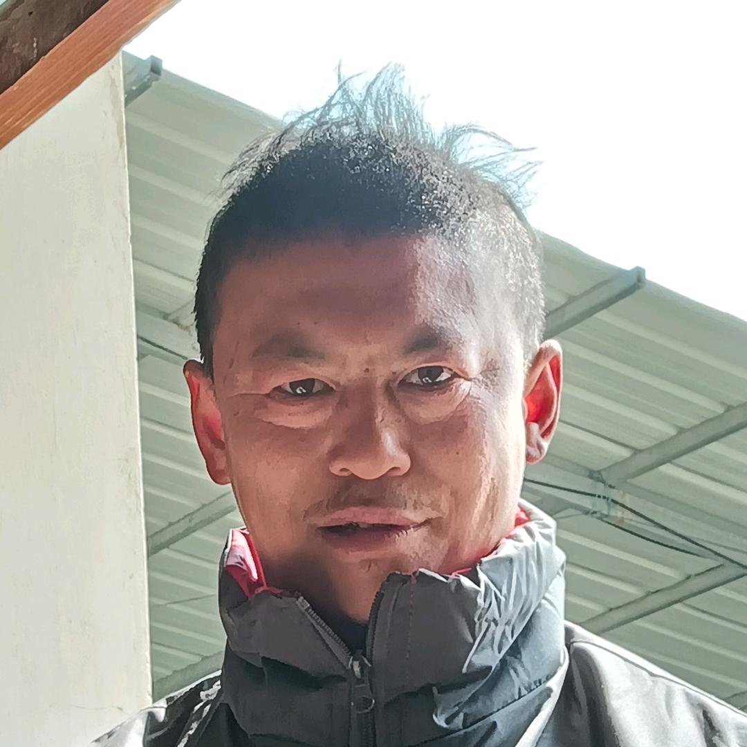 杨成