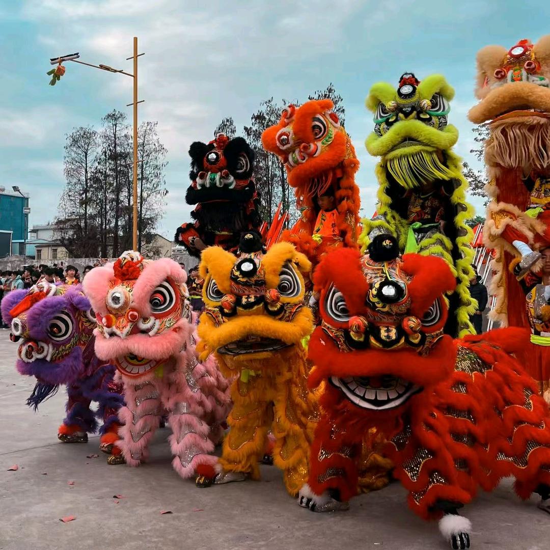 长治宏枫高端舞狮团  小杨（舞狮招人中）