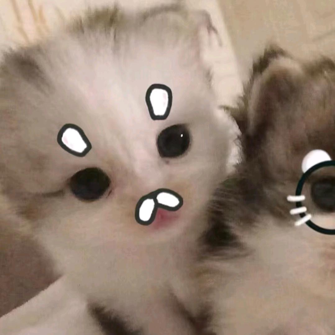 淼鑫疥🎱