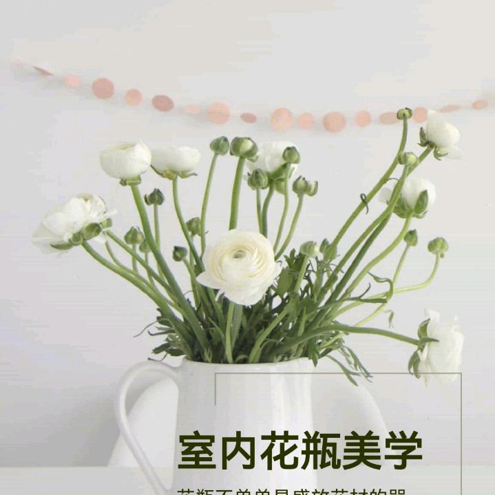 橙子的皇帝柑