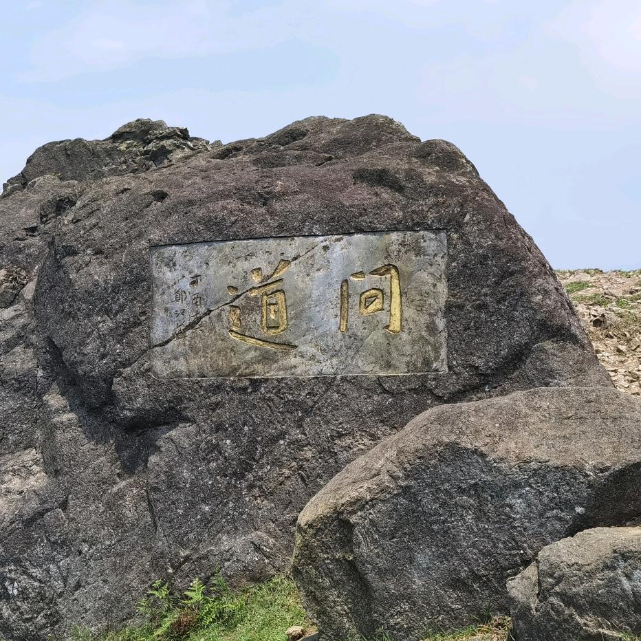 梦里称王