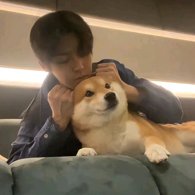心事寄给月光