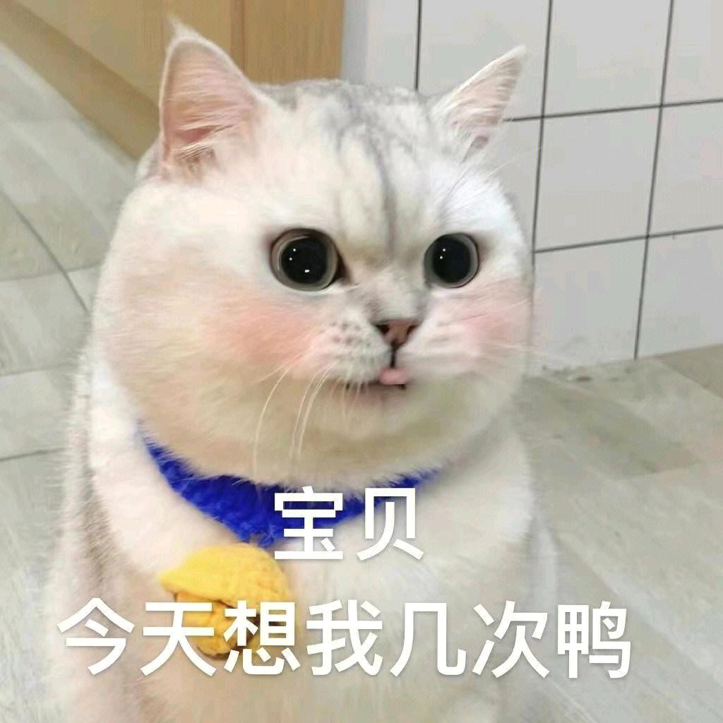 夏——————