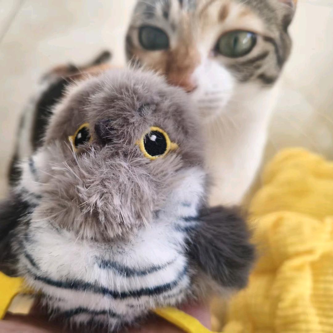 合欢宗大师姐偷看师尊出浴被当场抓包后