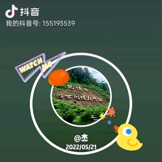 笑看红尘