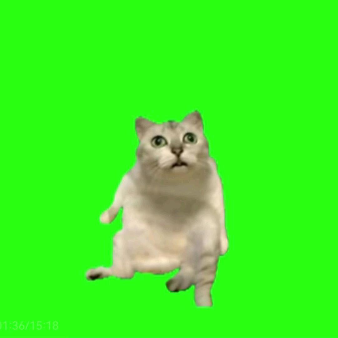 下次我还敢