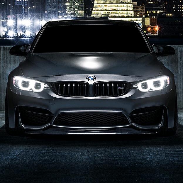 独木ꦿ᭄乔ꦿᮨ້໌࿐：