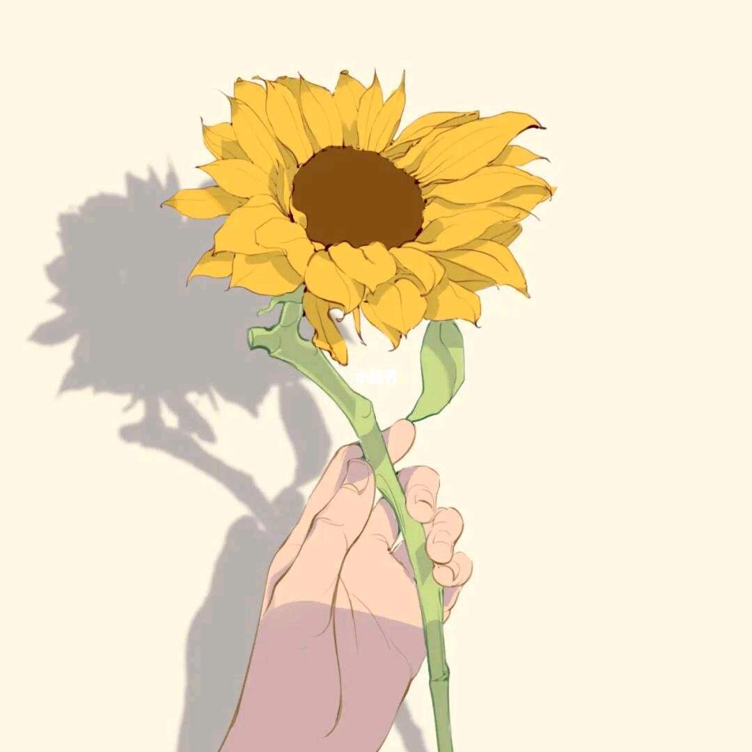 🌻大大大胖爽
