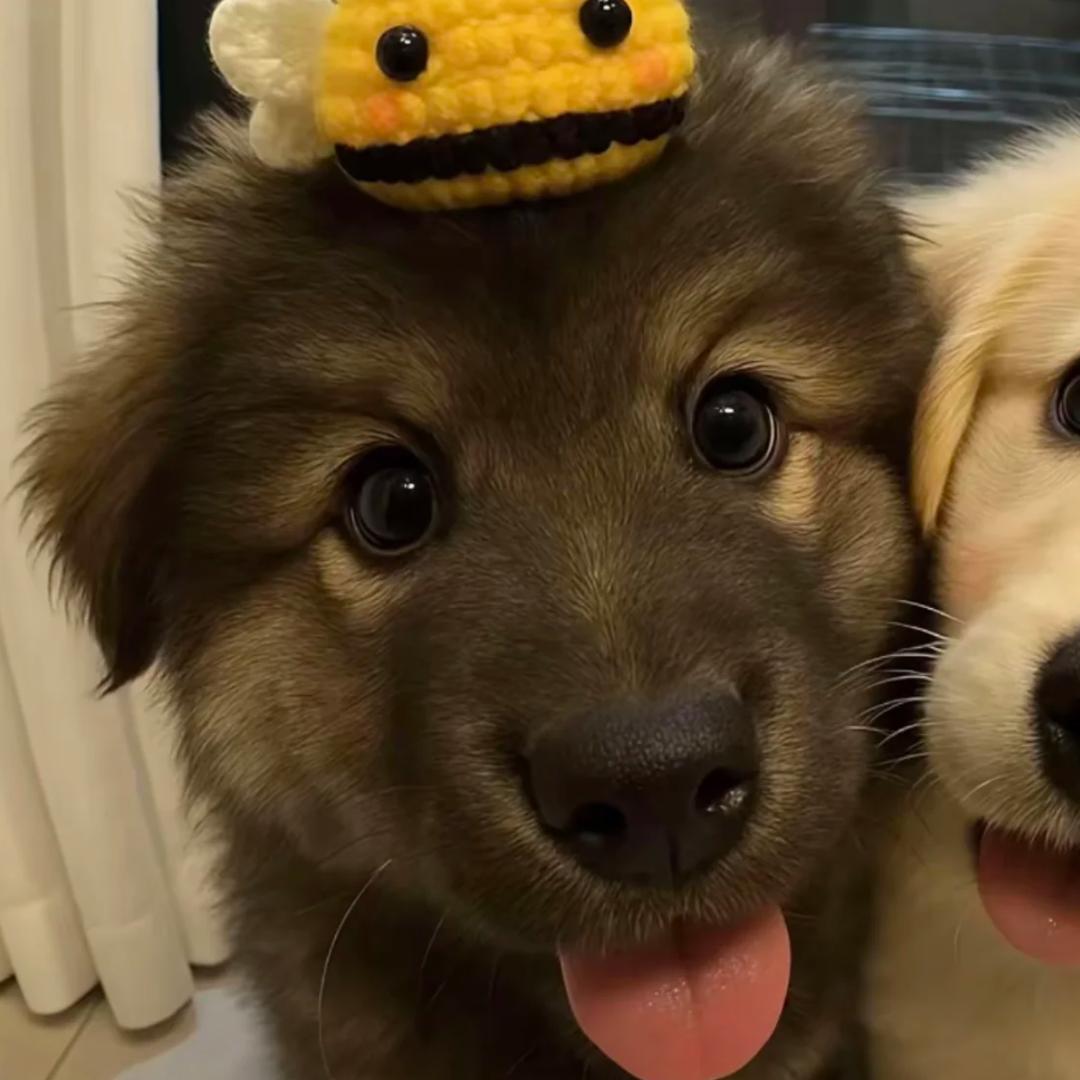 以经济建设为中心⭐️